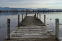 Il pontile del Lago della Gherardesca